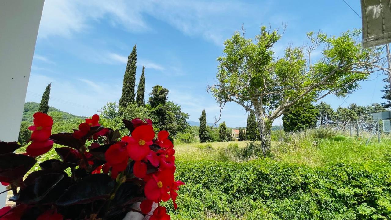 Villa Deza Ermones Zewnętrze zdjęcie